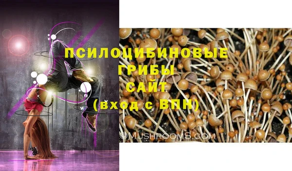 гашиш Вяземский