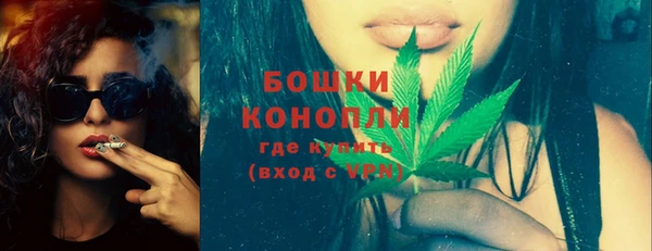 ПСИЛОЦИБИНОВЫЕ ГРИБЫ Вязьма