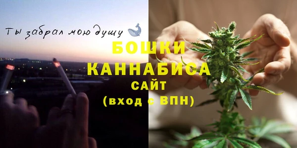 ПСИЛОЦИБИНОВЫЕ ГРИБЫ Вязьма