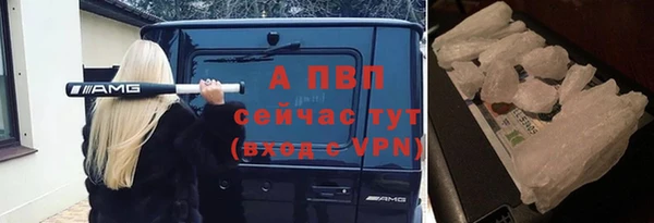 спиды Волоколамск
