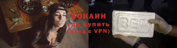 прущие грибы Володарск